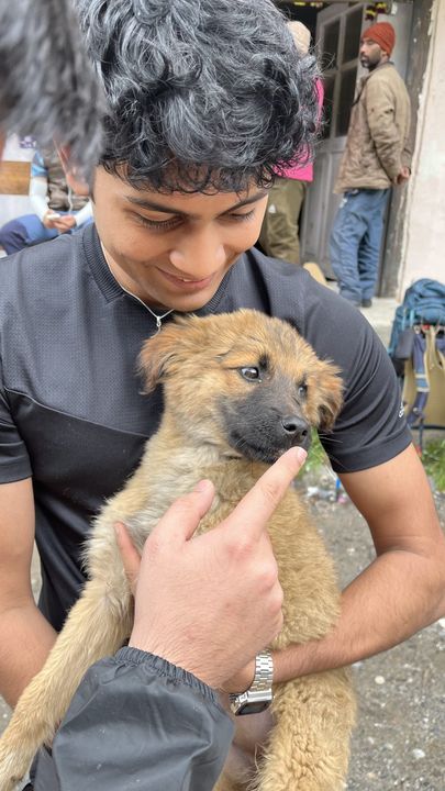 A friend holding a small brown puppy