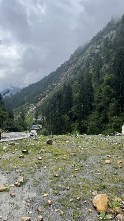 A stony clearing below pine-covered slopes under cloud