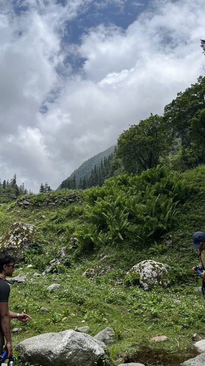 A green slope and trees under a cloudy sky