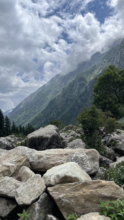 A heap of boulders below a forested slope