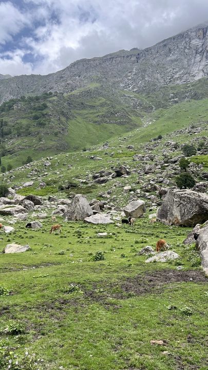A green meadow scattered with boulders below a ridge