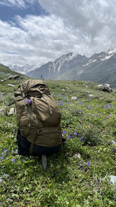 A trekking pack resting in a flowering meadow below snow peaks