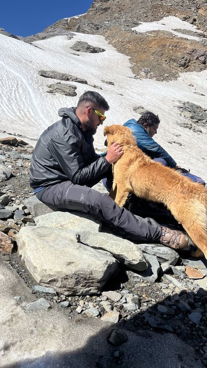 Two trekkers resting on rocks in the snow with a golden dog