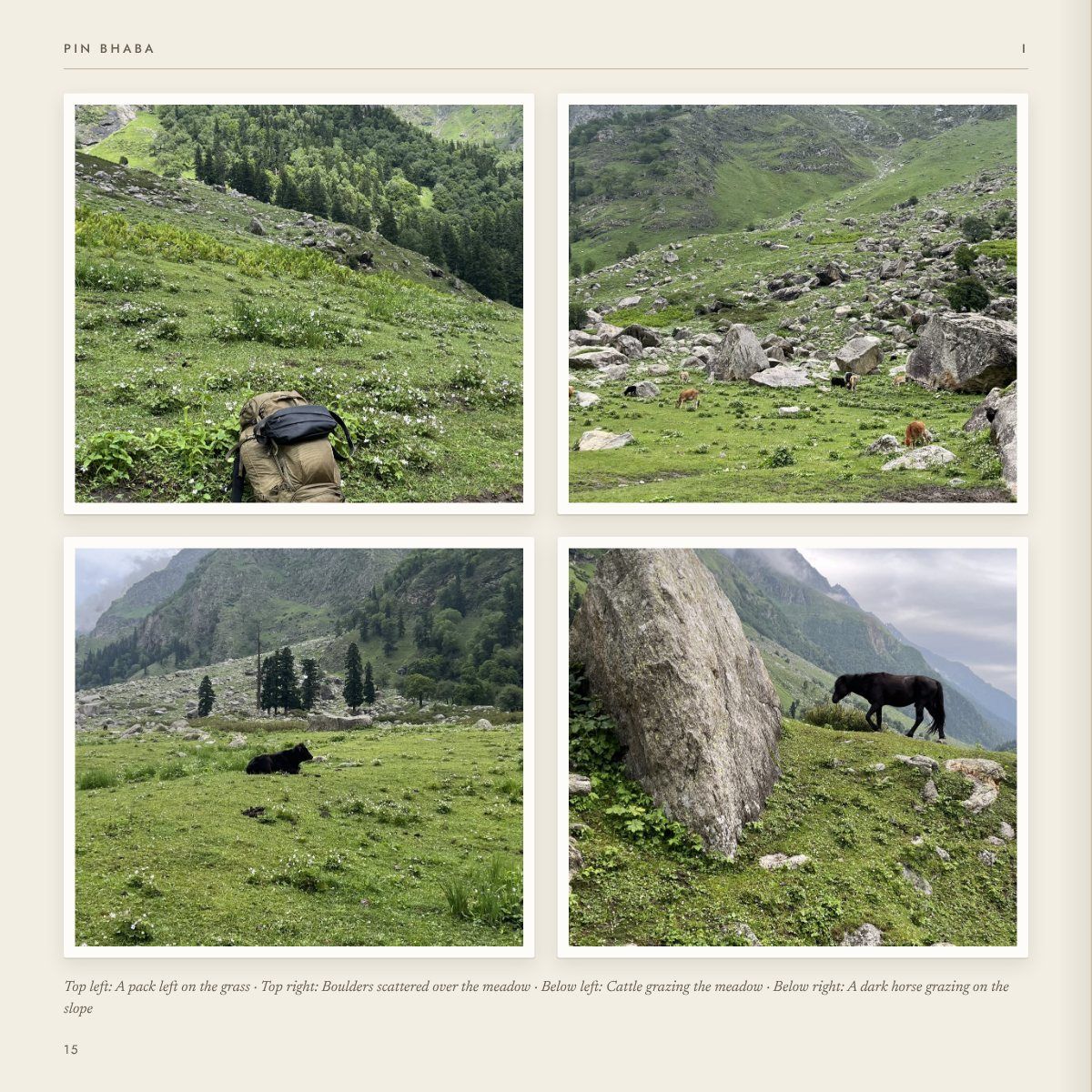 Photographs from 12 July, evening, page 19