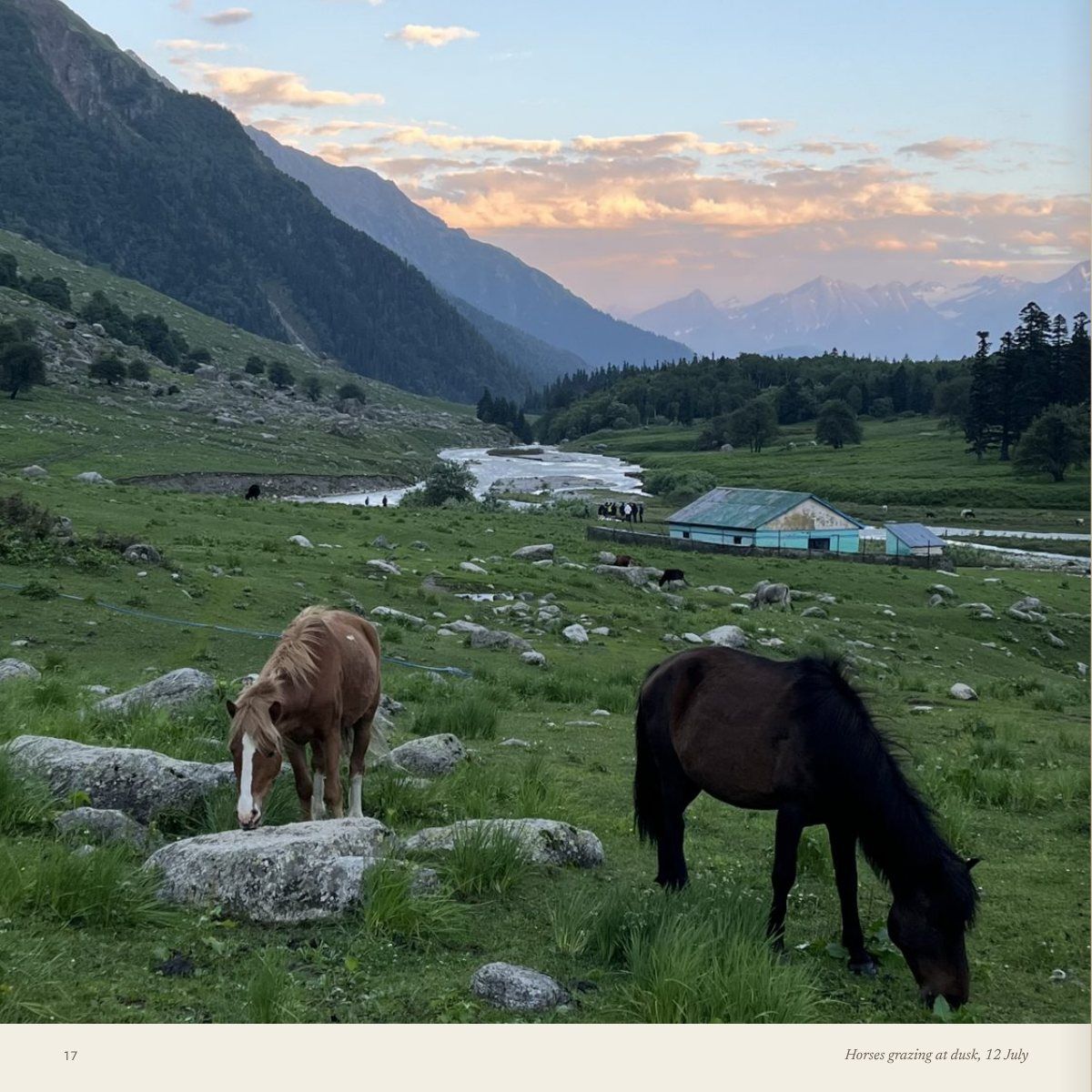 Photographs from 12 – 13 July, page 21
